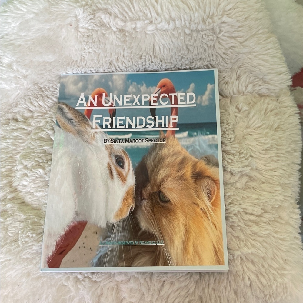 An Unexpected Friendship Book book published done the art work and written by me